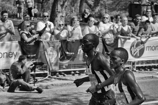 开云备用-南非男篮在非洲预赛中奋勇拼搏，迈向奥运新高  第2张