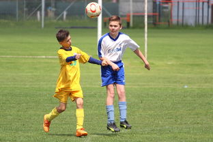 开云esports-塞尔维亚男篮在欧洲预赛中奋勇前进，冲击奥运荣耀，塞尔维亚男子足球队欧洲杯  第2张