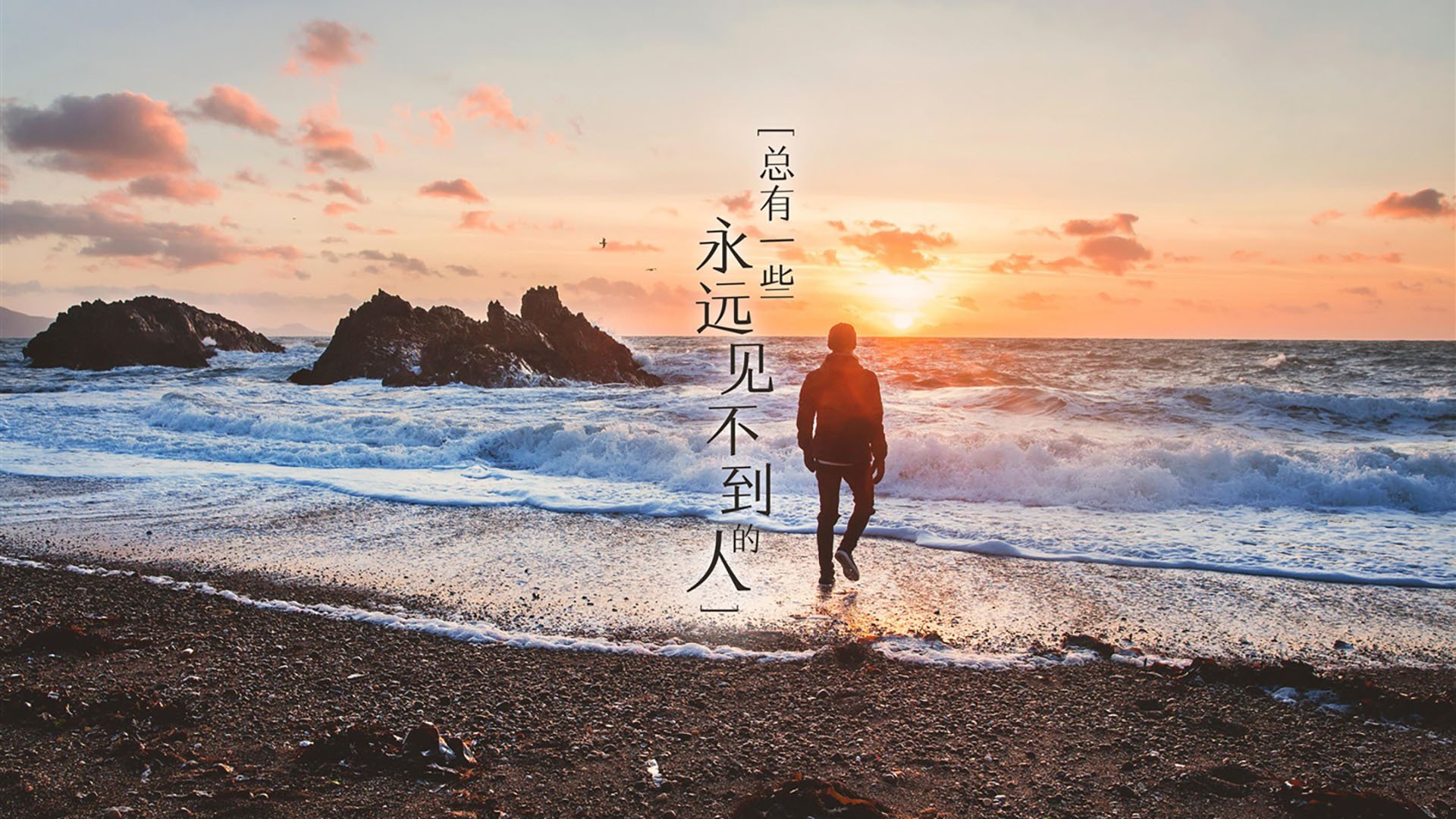 开云网页版-_森林狼战斗精神十足,稳扎稳打_,森林狼kg