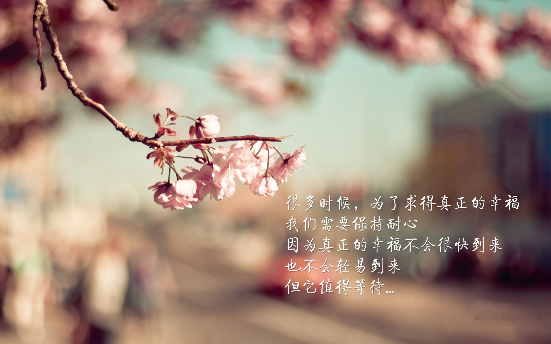 开云体育官方下载-_篮网持续火力,全场压制对手_,篮网引起众怒