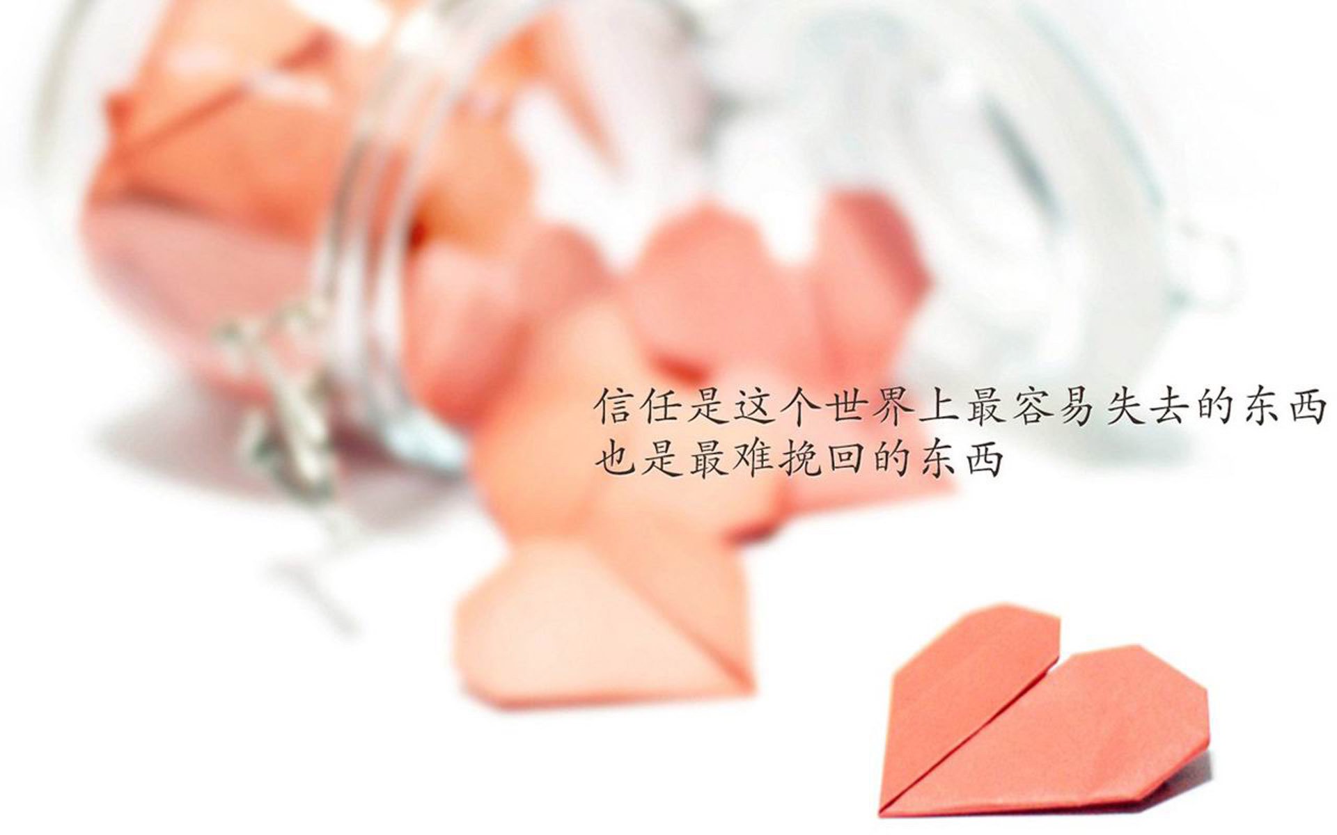 开云体育APP下载-_魔术队士气高涨，迎接新一轮挑战_，魔术队百度百科