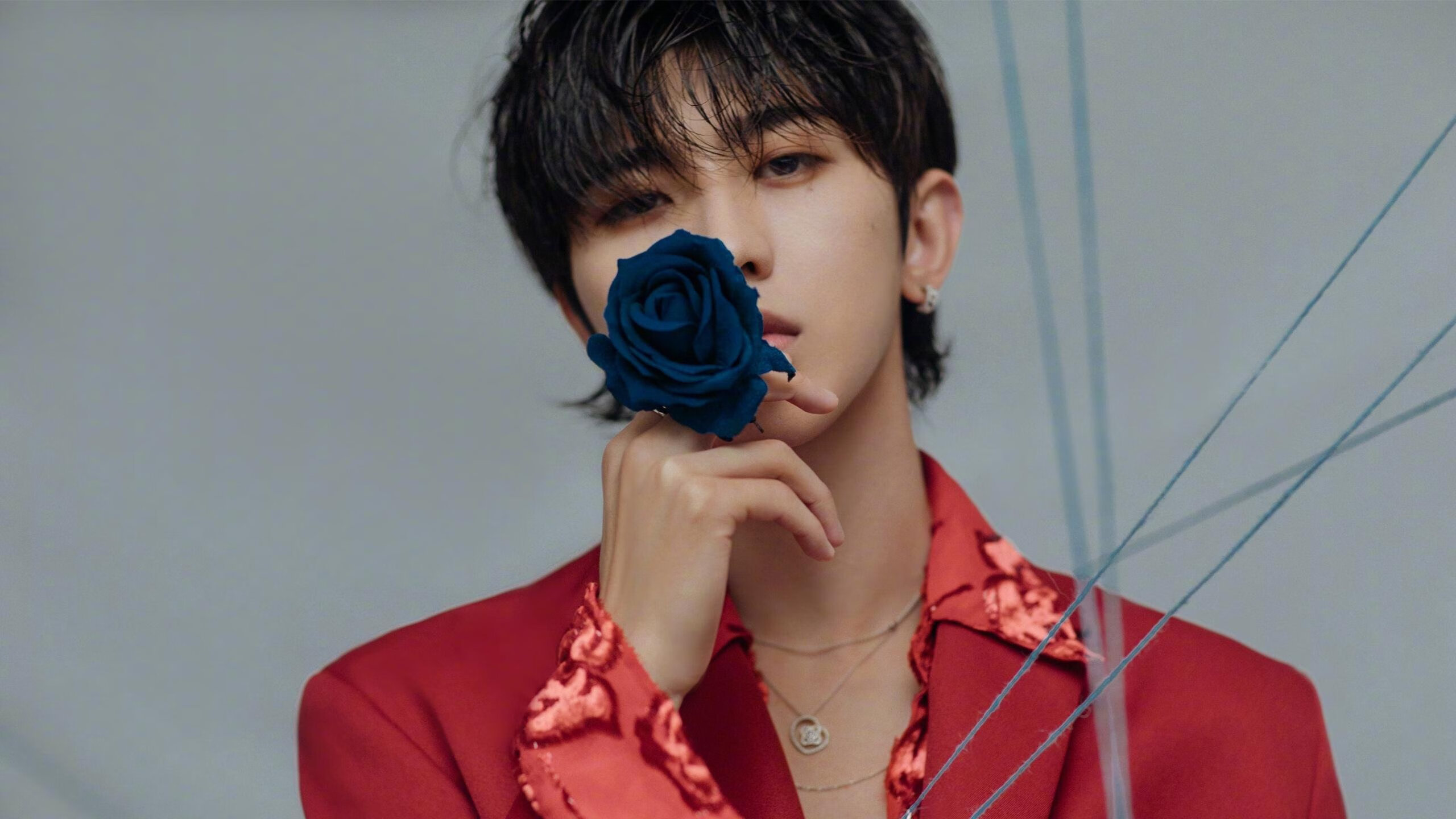 Kaiyun(中国)开云-女子网球名将宣布退役，30岁终结辉煌职业生涯，女子网球退赛