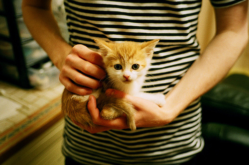 开云体育在线登入-巴黎圣日耳曼4-1大胜蒙彼利埃，姆巴佩梅开二度，巴黎圣日耳曼vs蒙彼利埃比分预测